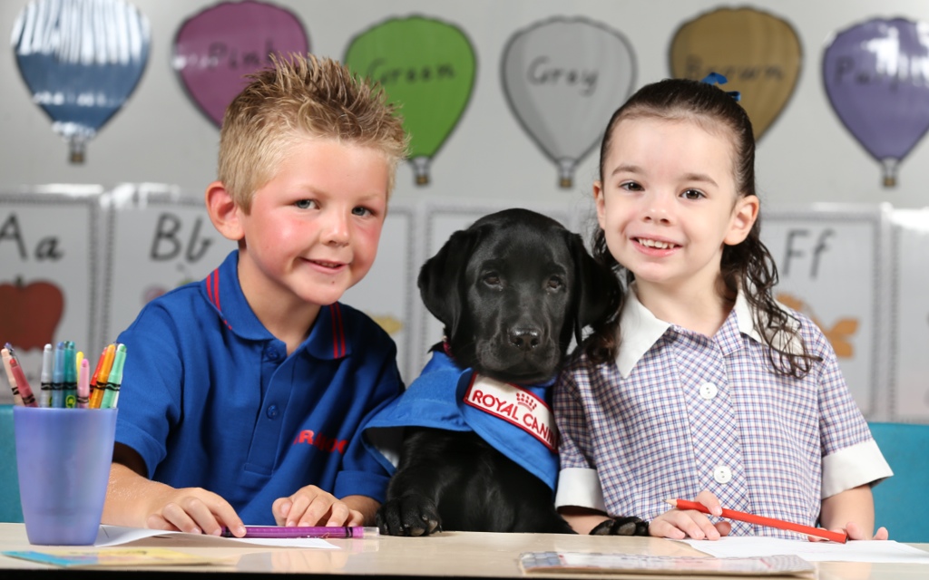 "Two children sat either side of a black puppy in training jacket, staring and smiling straight ahead."