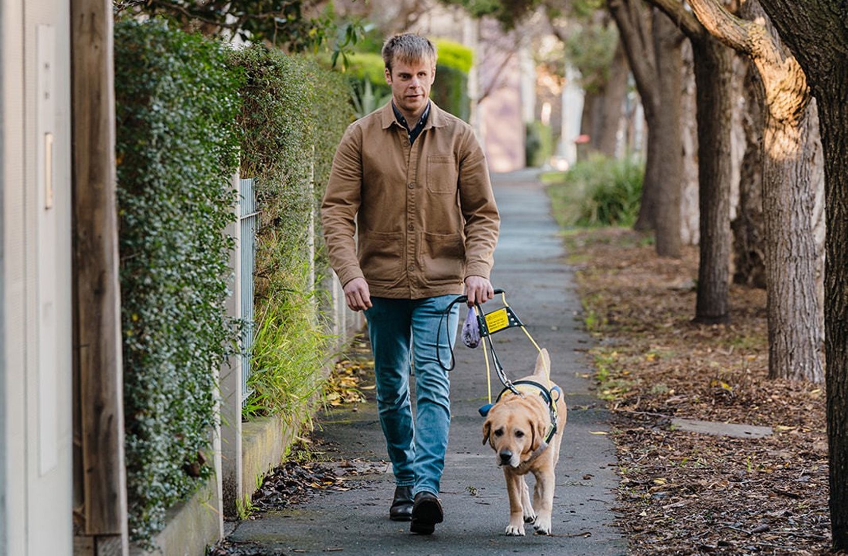 A man is walking down a tree-lined street, accompanied by his Seeing Eye Dog.