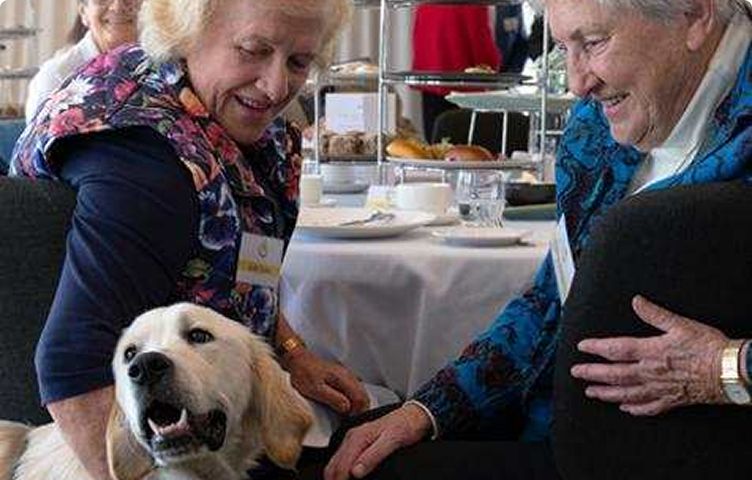 Two elderly people are petting a Seeing Eye Dog at an Iris Circle event.