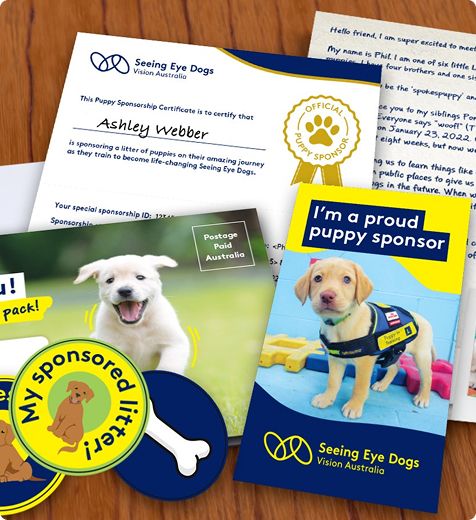 An assortment of Seeing Eye Dog brochures