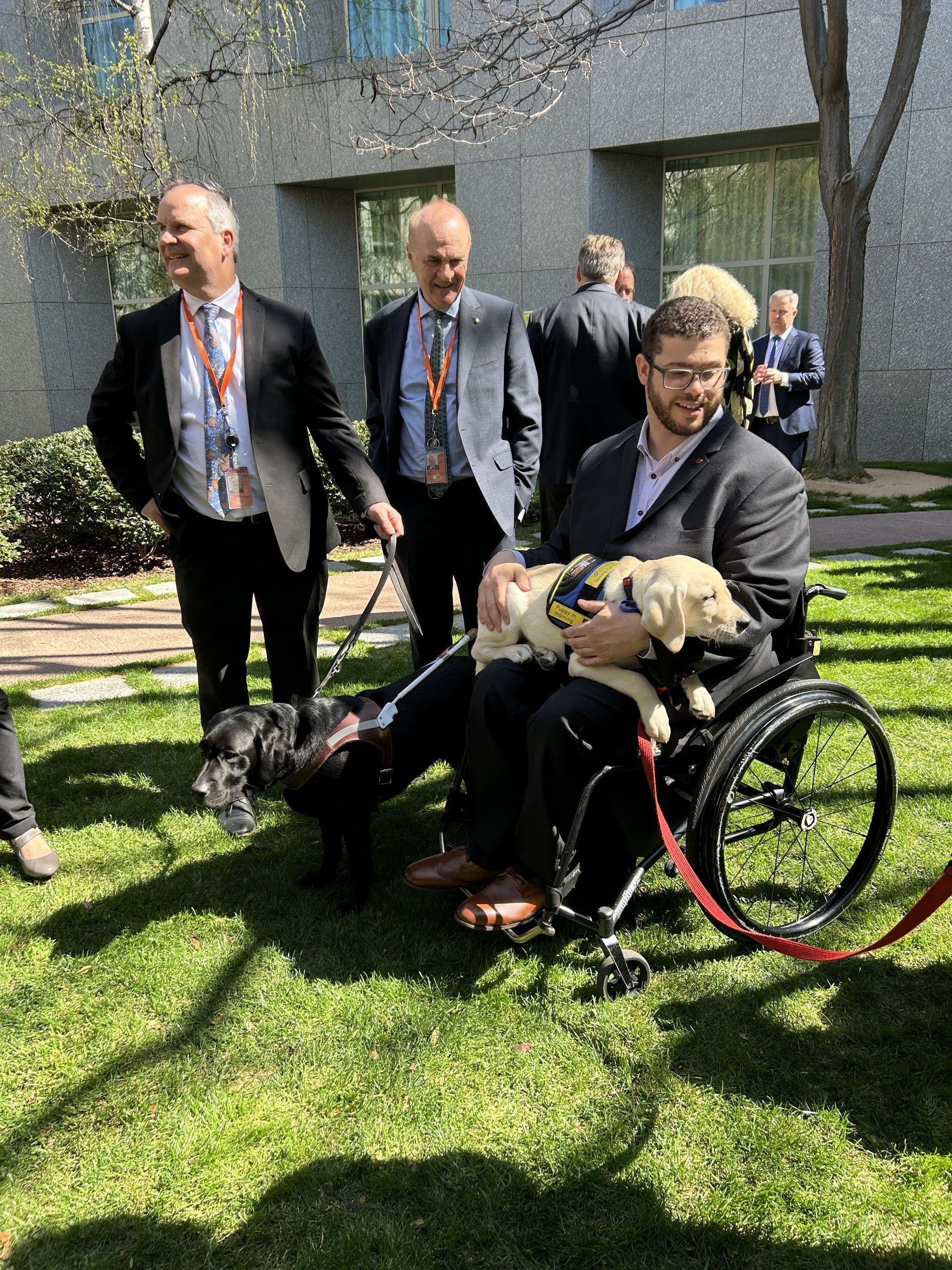 Senator Jordon Steele-John holding a yellow Seeing Eye Dogs puppy on his lap.