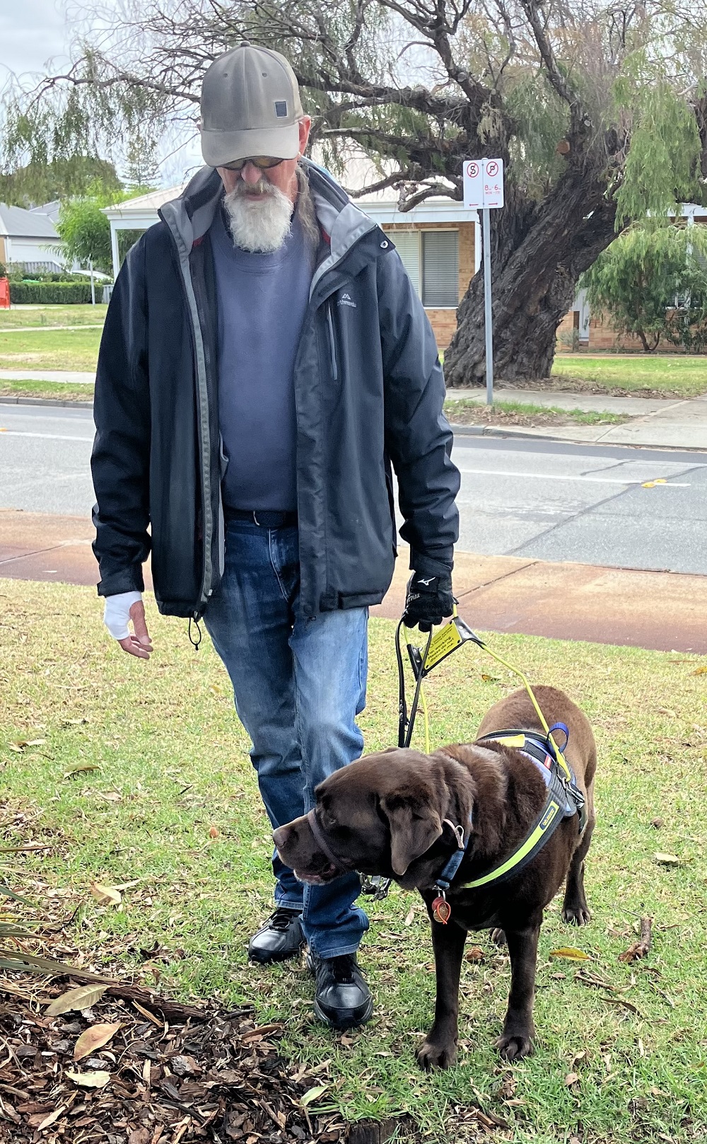 "Des and Champ walking along a suburban street."