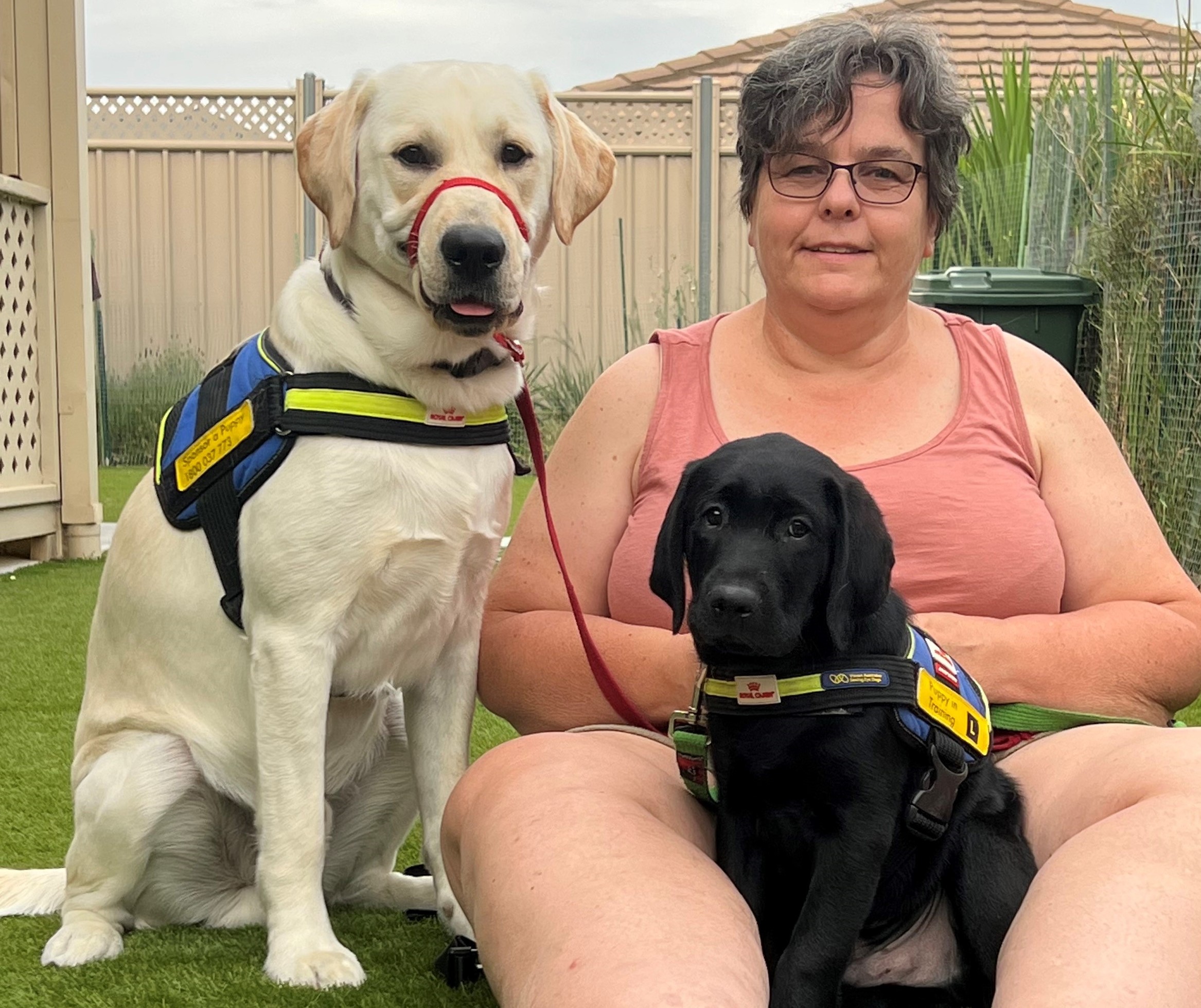"Georgina sitting next to a fully grown yellow Seeing Eye Dog with a black Seeing Eye Dog sat in her lap."