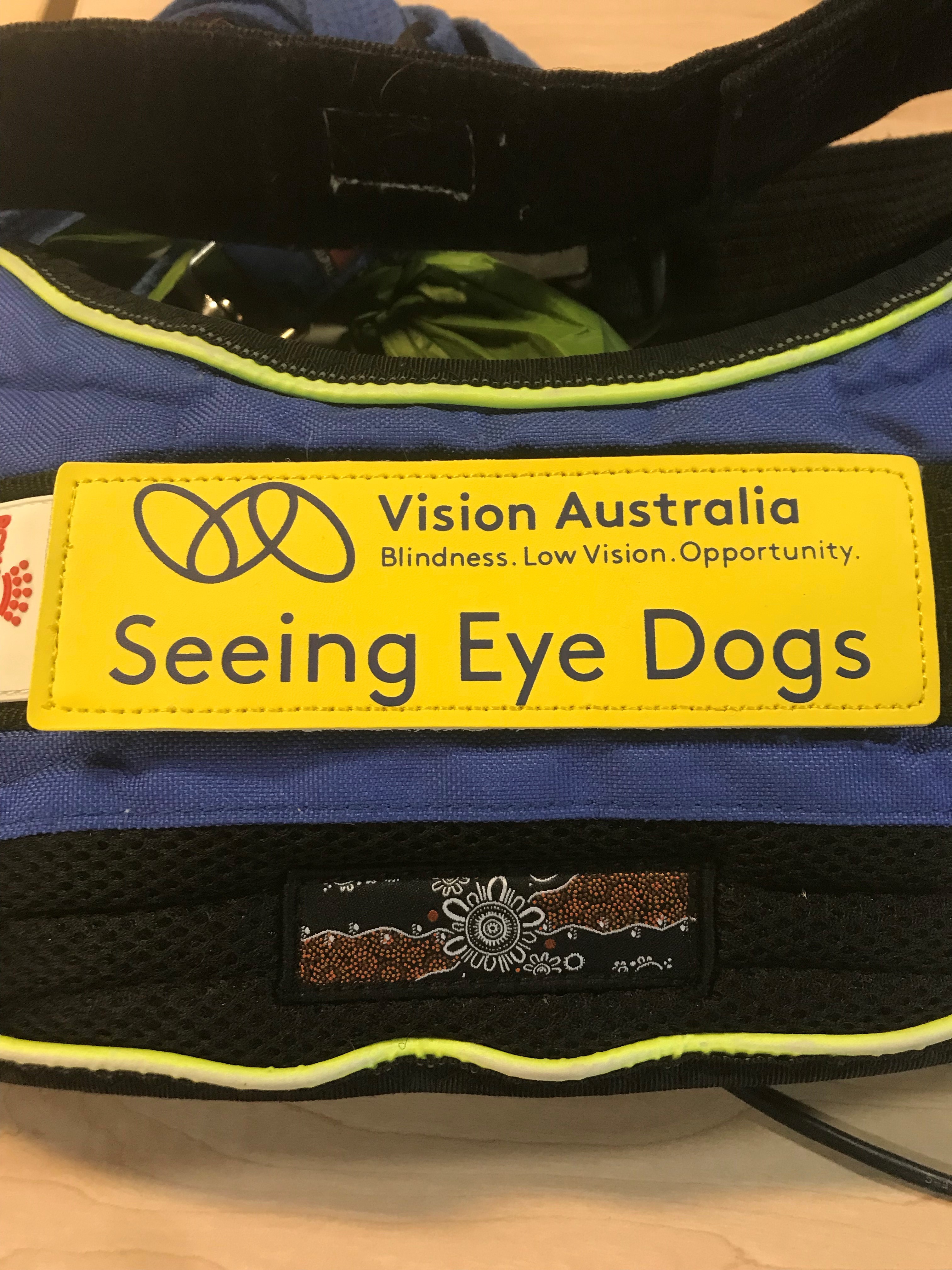"A Seeing Eye Dogs jacket with the Reconciliation Action Plan artwork attached."