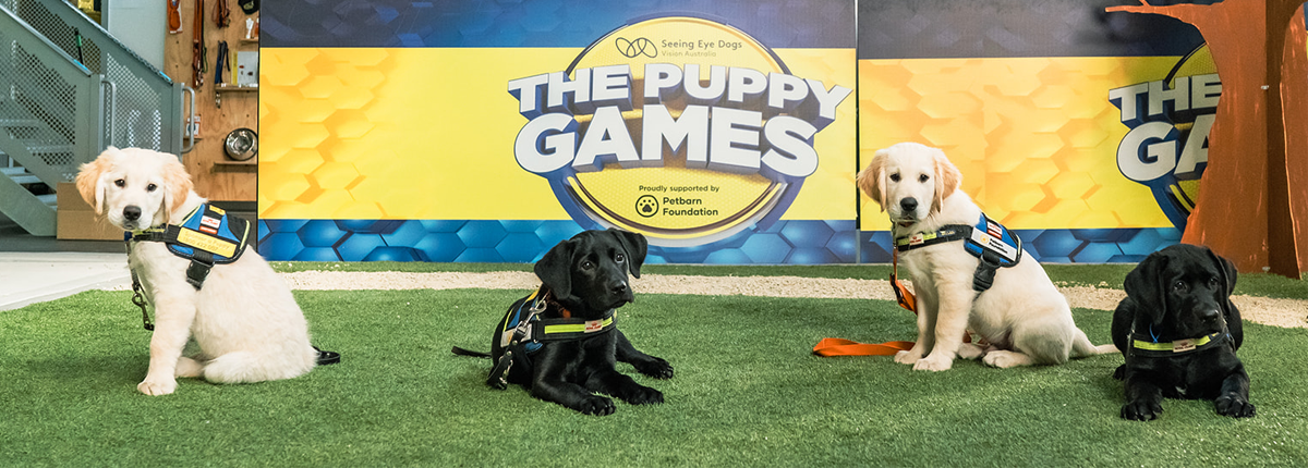 Four young Seeing Eye Dogs in training vests look to camera in front of the sign 'The Puppy Games'