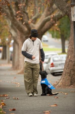 Puppy Field Officer standing with working puppy on footpath