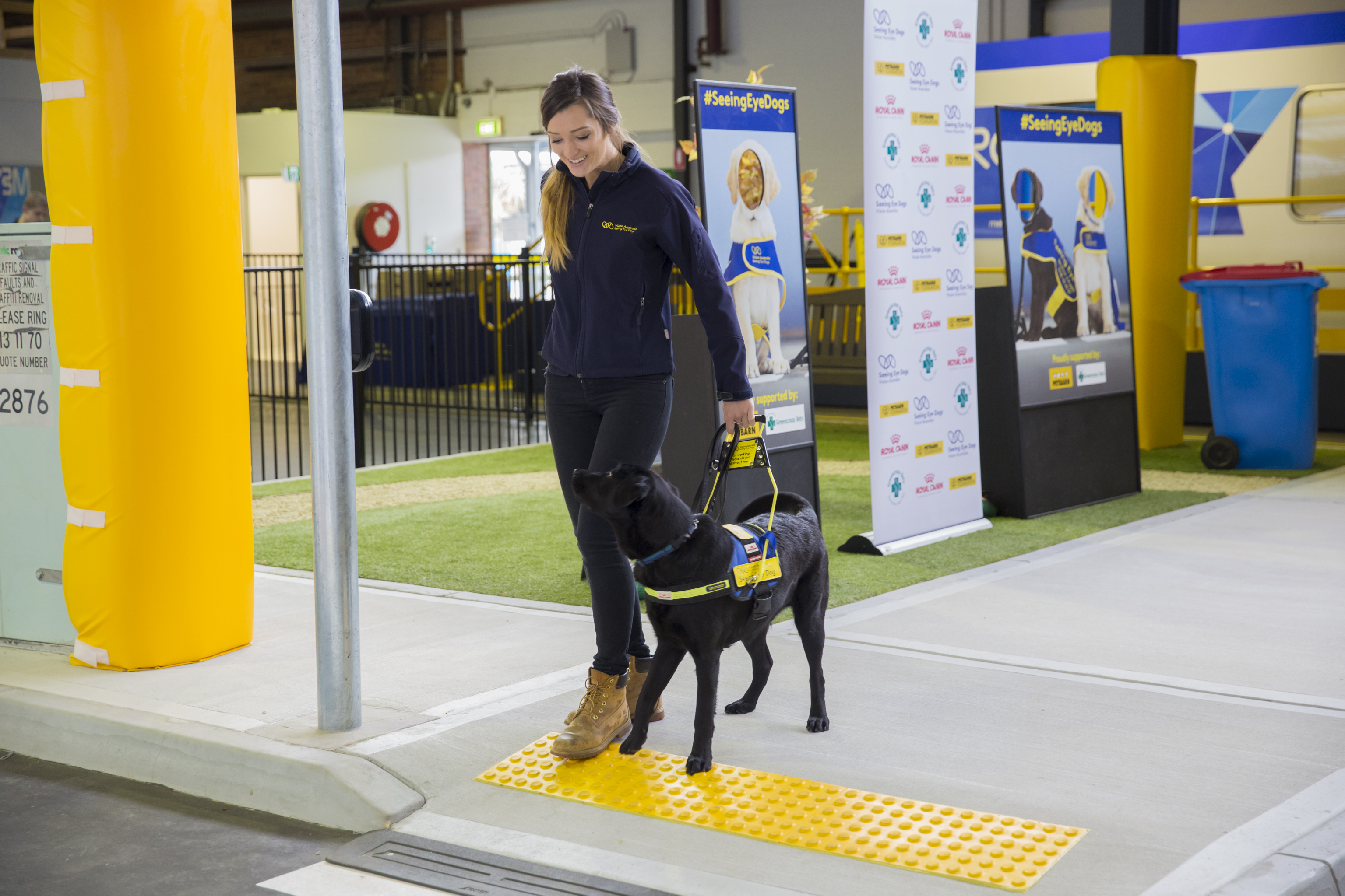 "Seeing Eye Dog Trainee Instructor Carly Gregorich provides a training demonstration with SED Falcon in the world-class Mobility Training Centre. SED Falcon and Carly stopped next to a traffic light."