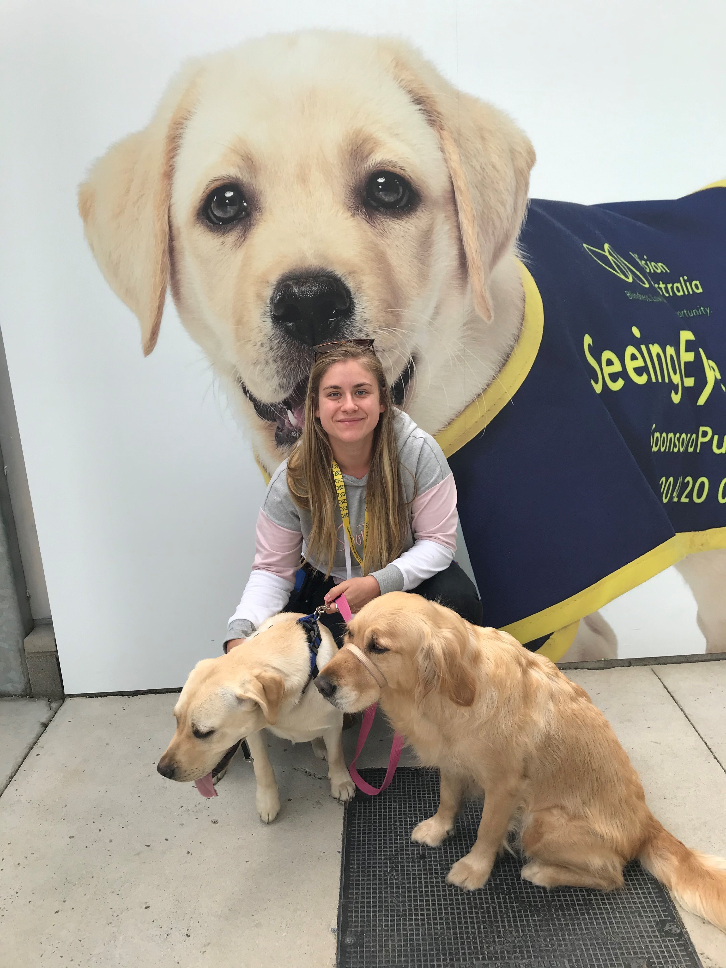 Emilia crouches next to two Seeing Eye Dogs in training
