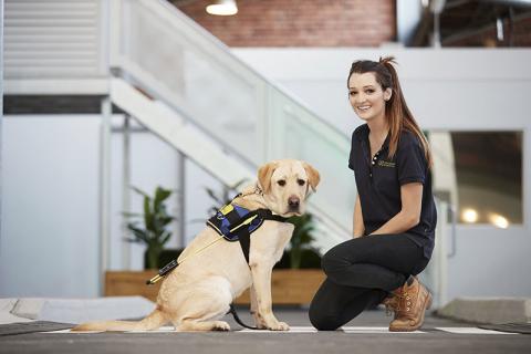 Seeing Eye Dog in training with Instructor Carly