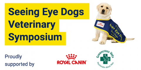 SED Symposium Seeing eye dog on text "Seeing Eye Dogs Symposium".